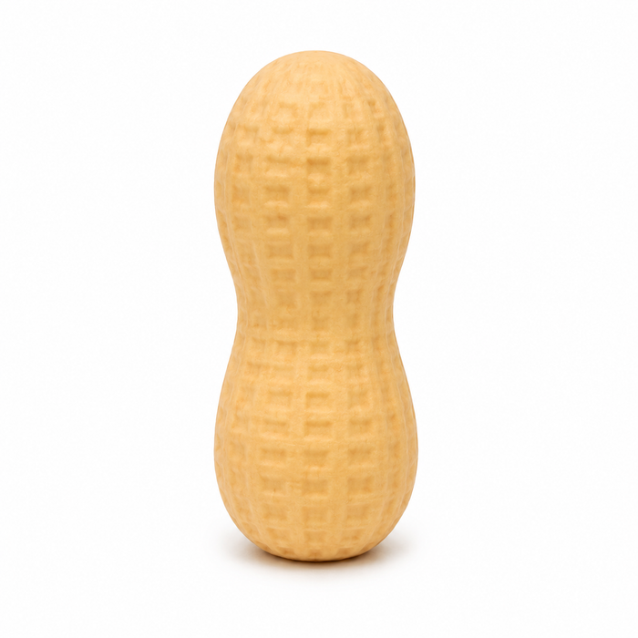 Gniotek Orzeszek Piankowy Squishy 9x4 cm Mix Kolorów